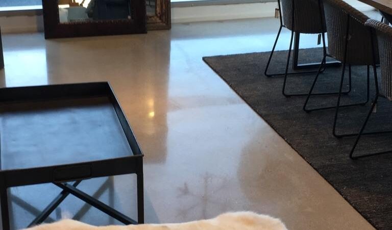 polished concrete lounge floor NZ Grinders Tauranga