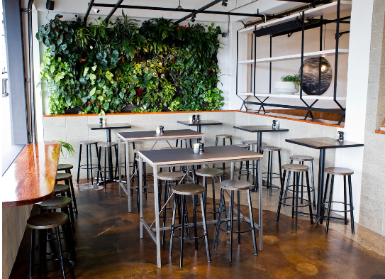 chemical stain for concrete floor nz grinders tauranga lounge cafe Retail cafe cloor concrete stained with brown tones NZ Grinders Tauranga