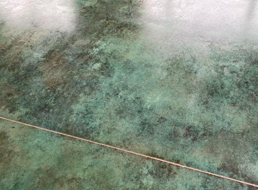 chemical stain for concrete floor nz grinders tauranga lounge floor tiles Green tiles on floor with concrete chemical stain from NZ Grinders