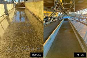 The Ultimate Guide to Dairy Shed Flooring: Grinding for Safety, Hygiene & Cow Comfort